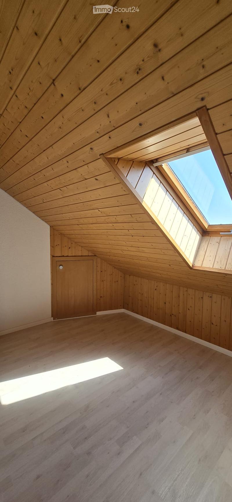 empty room, wooden ceiling, wooden walls, skylight, wooden door