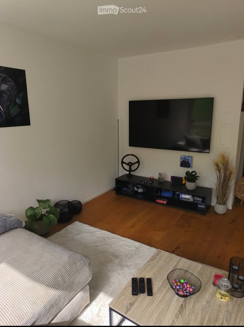 Modern living room with a grey sofa, a wooden coffee table, a flat-screen TV mounted on the wall, and decorative plants. The room features a white rug, a sleek black TV stand, and a few decorative items on the coffee table.