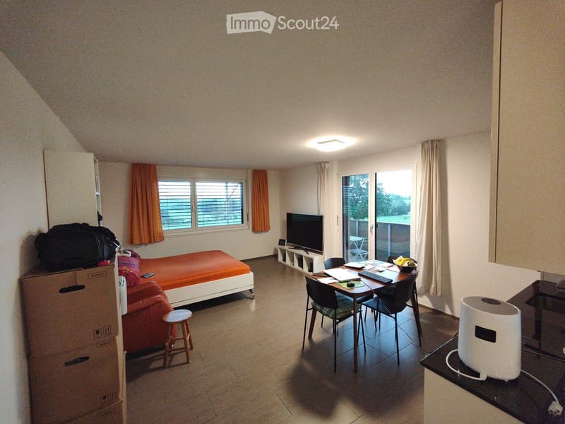 A furnished room with a bed, sofa, small table, chairs, TV, and a refrigerator. The room has large windows and a sliding glass door leading to a balcony.