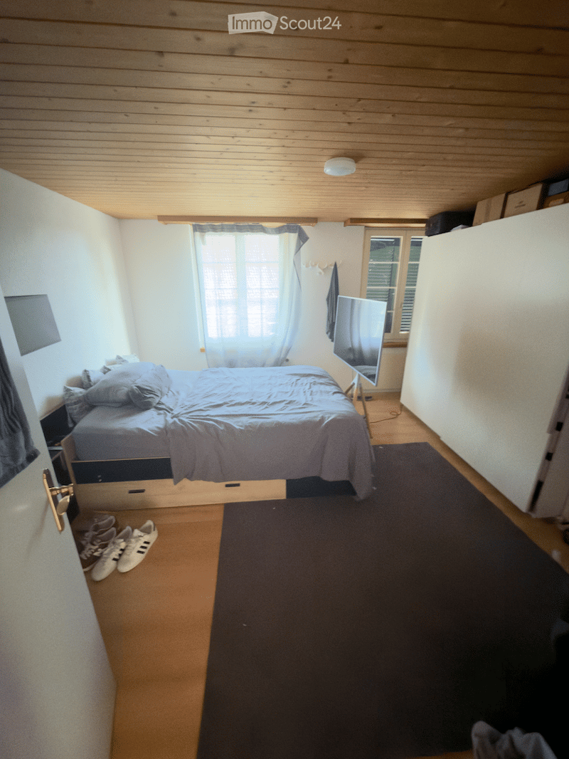 Cozy bedroom with a wooden ceiling, a large bed with pillows and a blanket, a nightstand, a mirror, a dark carpet, and a pair of shoes near the door.