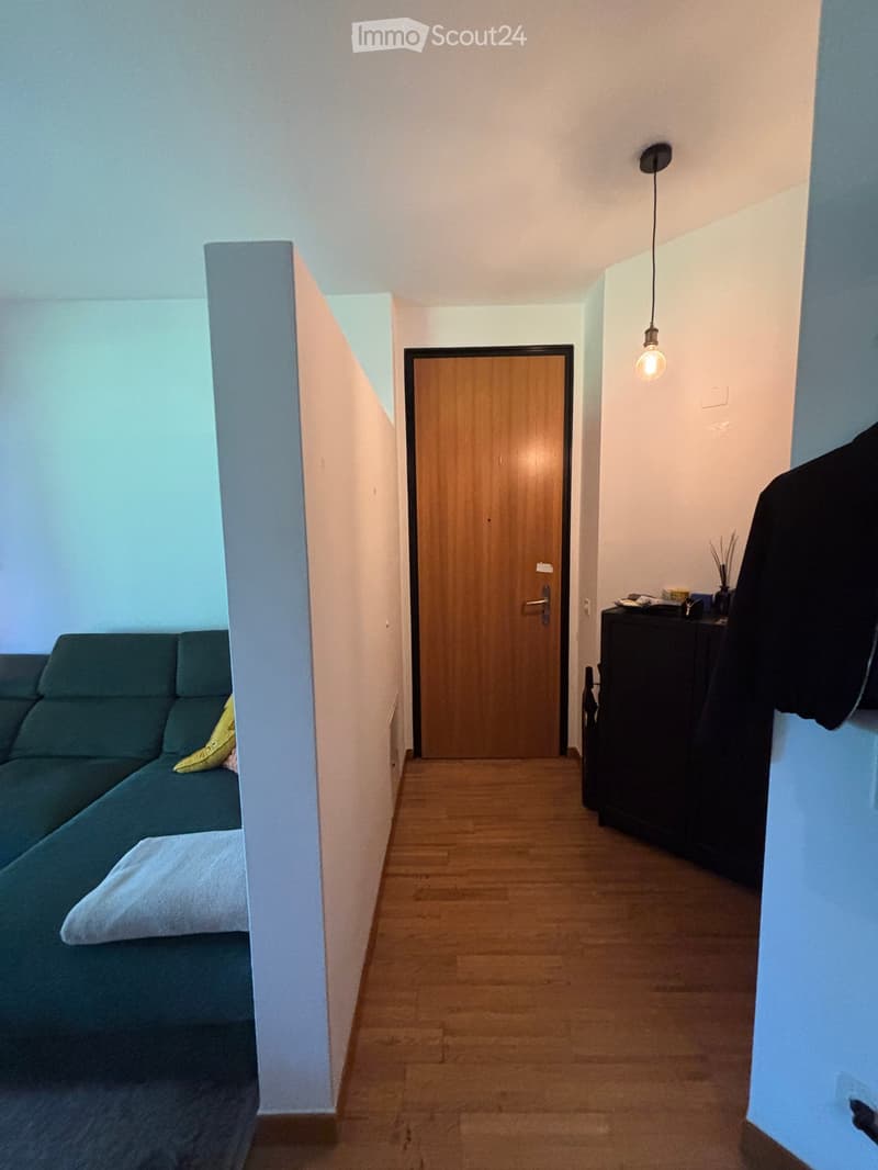 A small, modern living space with a dark green sofa, a wooden door, a hanging light fixture, and a small cabinet with items on top.