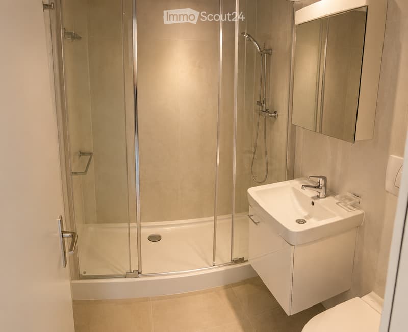 Modern bathroom with a glass-enclosed shower, a white sink with a chrome faucet, a built-in cabinet, and a toilet.