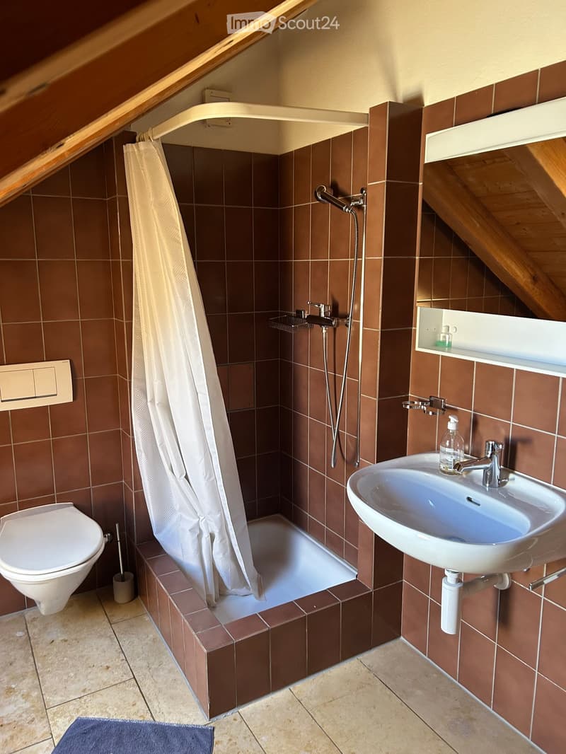 Bathroom with brown tiled walls, a toilet, a sink with a mirror, a shower area with a curtain, and a small shelf holding a bottle.
