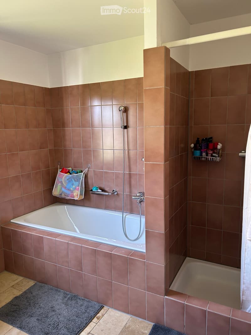 Bathroom with brown tiled walls, a bathtub, a shower area, a small shelf with toiletries, and a hanging basket with toys.