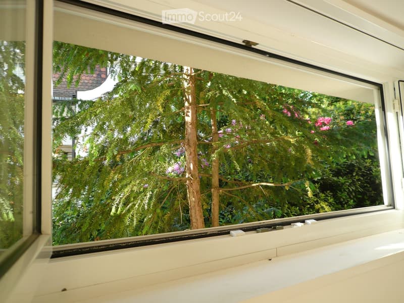 A view through a large window showing a lush green garden with trees and flowering bushes. The window frame is white with a simple design.