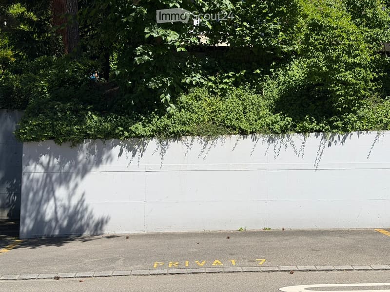 A white wall with green ivy climbing over it, casting shadows on the wall, with a paved area marked "PRIVATE" in yellow.
