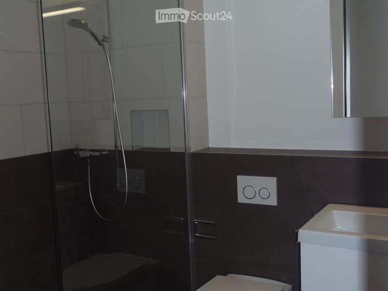 Modern bathroom with a glass-enclosed shower, a white sink, and a toilet. The walls are tiled in dark gray with a contrasting white upper section.