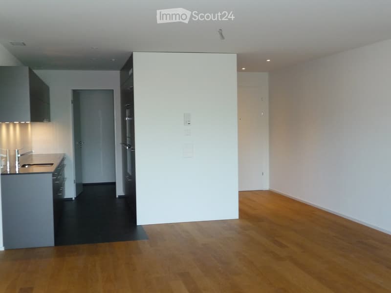 Empty room with wooden flooring, white walls, and a small kitchen area with a sink and cabinets visible in the background.