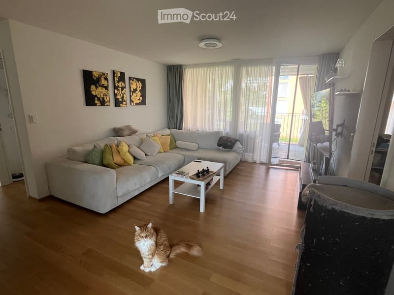 Modern living room with a grey sectional sofa, colorful cushions, a white coffee table, and a cat sitting on the floor. Large windows with sheer curtains lead to a balcony.
