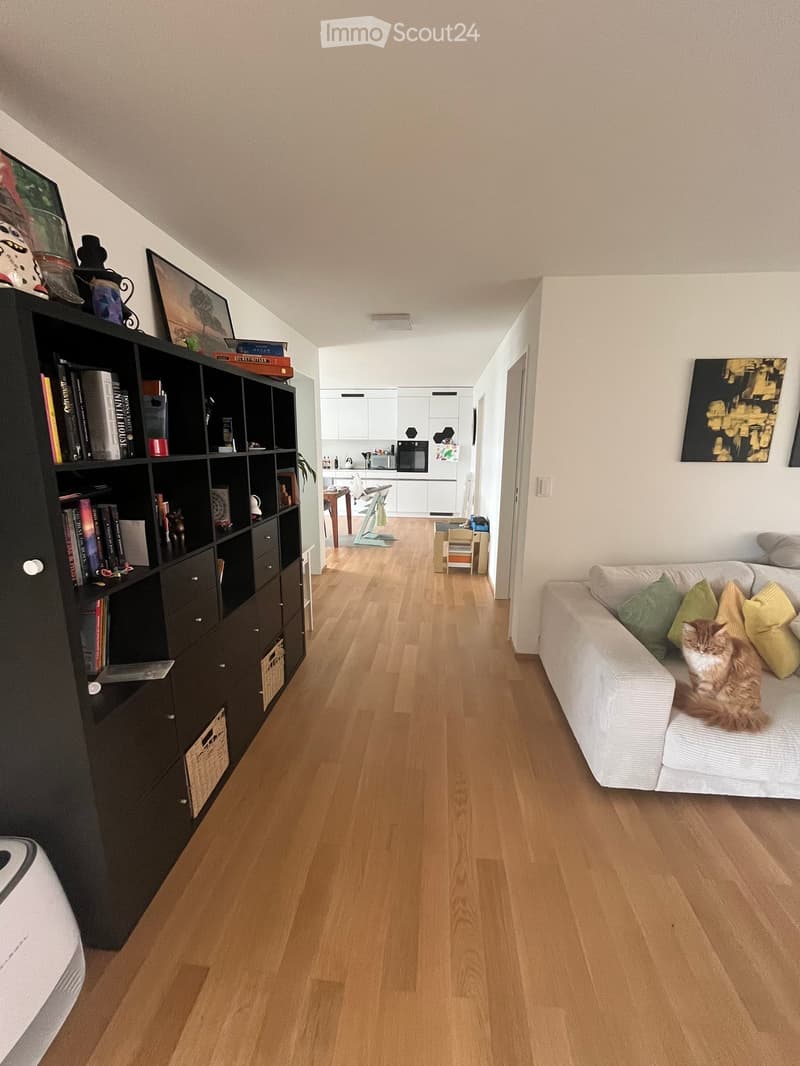 Living room with light wooden flooring, a white sofa with green and yellow cushions, a cat sitting on the sofa, a black bookshelf filled with books and decorative items, a small kitchen area with white cabinets, a microwave, and a table with chairs.