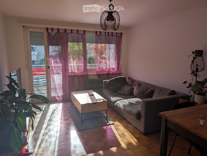 Modern living room with wooden flooring, large windows, grey sofa, coffee table, and potted plants.