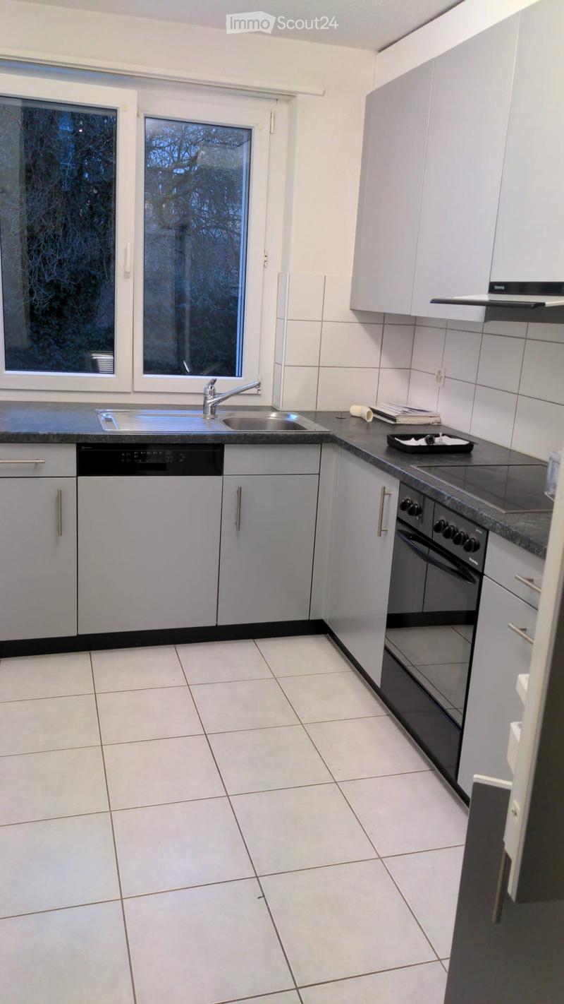 Modern kitchen with white cabinets, stainless steel sink, oven, and dishwasher. Features large windows with a view of trees outside.