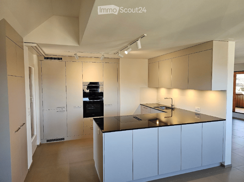 Modern kitchen with white cabinets, black countertop, stainless steel sink, and built-in oven. Track lighting above the island.