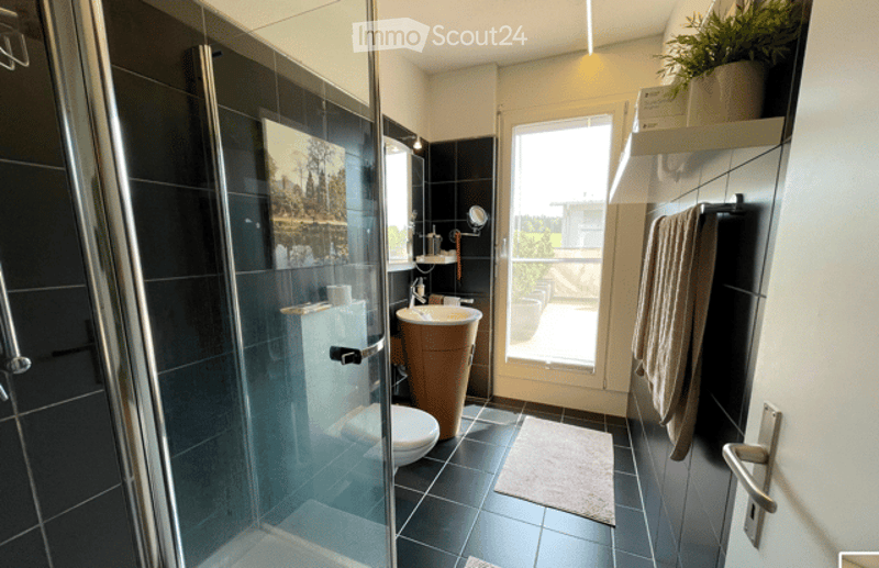 Modern bathroom with black tiles, glass shower enclosure, white toilet, wooden sink cabinet, and a small plant on a shelf.