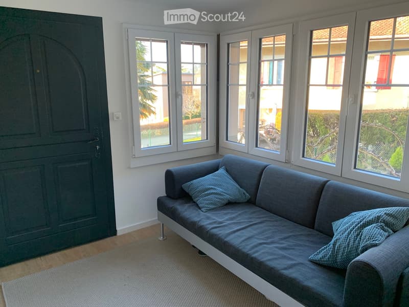 Living room with a grey sofa, two pillows, large windows, and a dark green door.