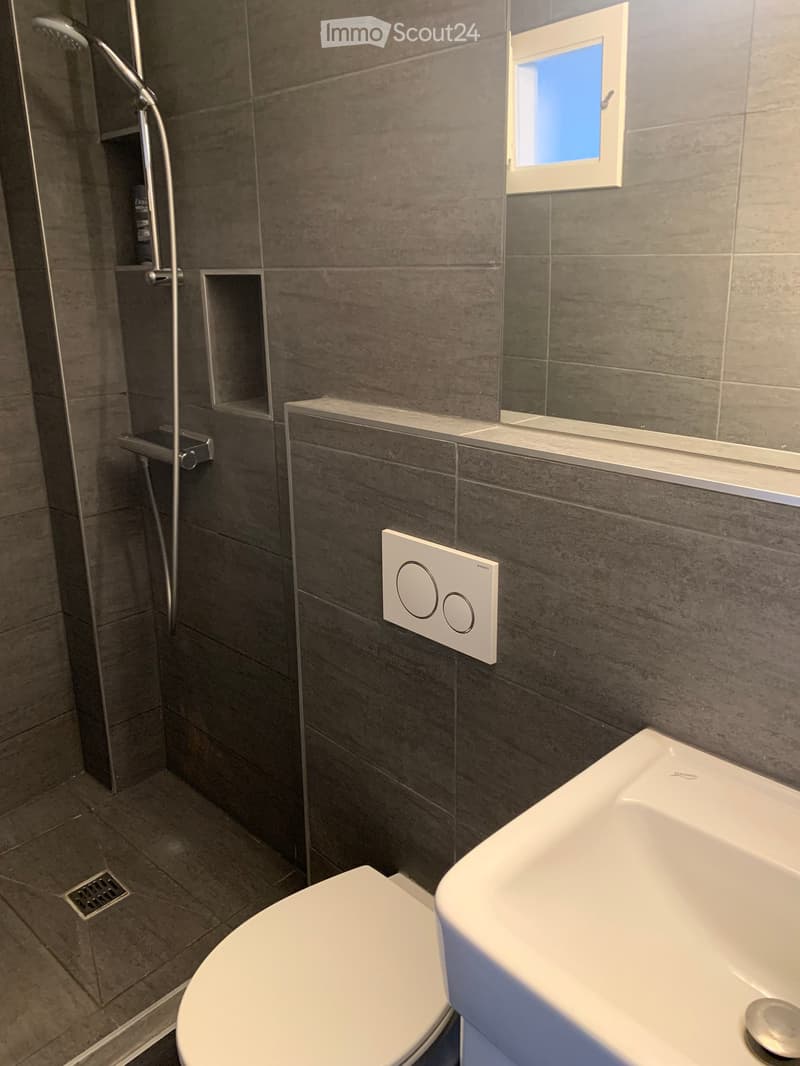 Modern bathroom with a toilet, sink, and shower area. Features include a large mirror, a modern faucet, and a sleek showerhead.