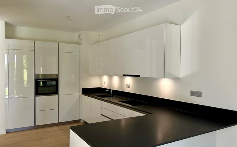 Modern kitchen with white cabinets, black countertops, and integrated appliances including an oven and sink.