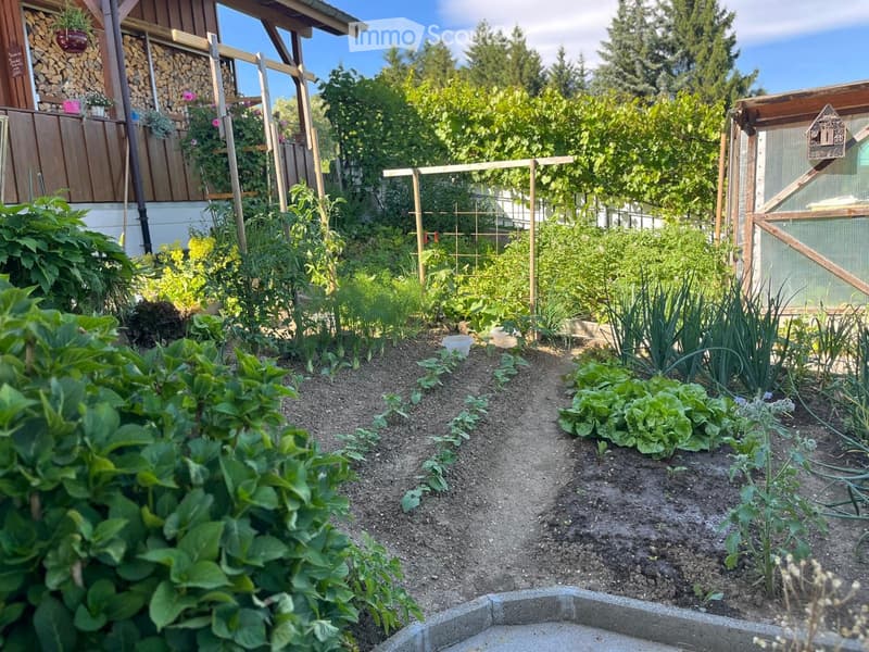 Well-maintained garden with various vegetables, flowers, and a wooden chicken coop. The garden features raised beds, a wooden fence, and a stack of firewood in the background.