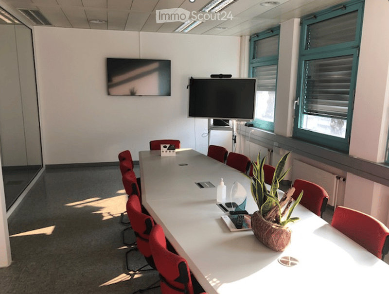 Conference room with a long white table, red chairs, two screens on the wall, and a small plant on the table.