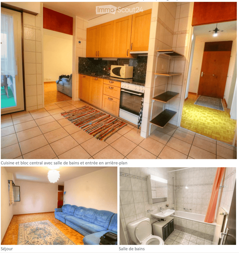 The image shows a furnished apartment with a living room, kitchen, and bathroom. The living room features a blue sofa and a patterned rug. The kitchen has wooden cabinets, a microwave, and an oven. The bathroom includes a sink, bathtub, toilet, and a mirr