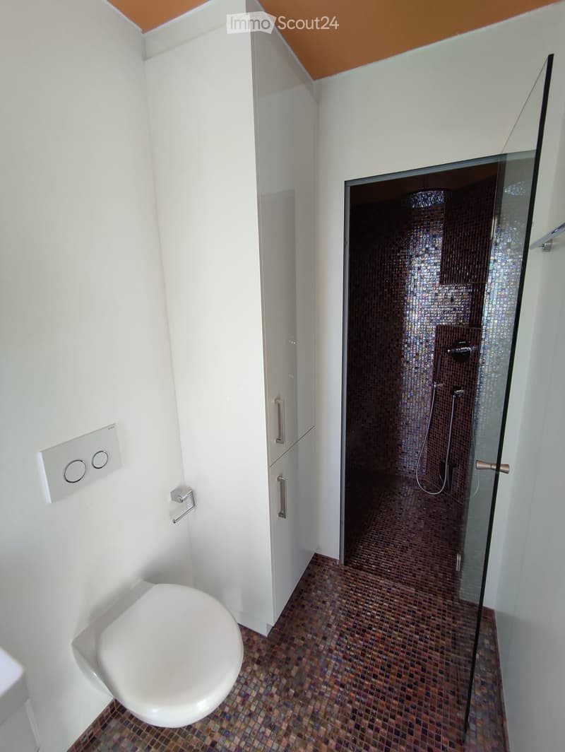 Modern bathroom with white walls, a toilet, a glass-enclosed shower with dark tiles, and a white cabinet with silver handles.