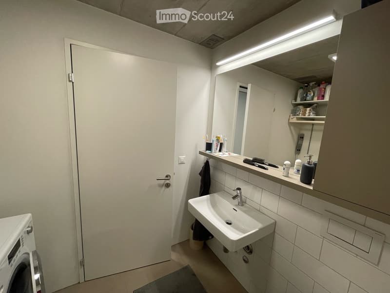 Modern bathroom with a white sink, mirror, built-in cabinet, shelves, and a washing machine visible in the background.