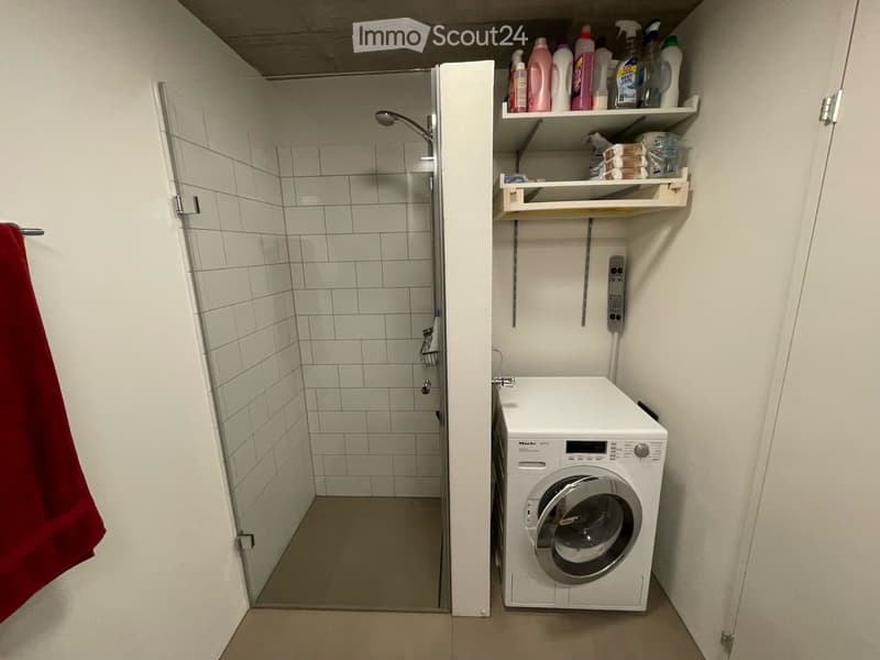 Modern bathroom with a shower area, a washing machine, shelves for cleaning supplies, and a red towel hanging on the wall.