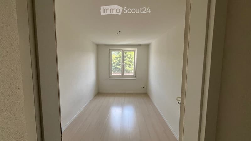 Empty room with light-colored wooden flooring, white walls, and a single window with a view of greenery outside.