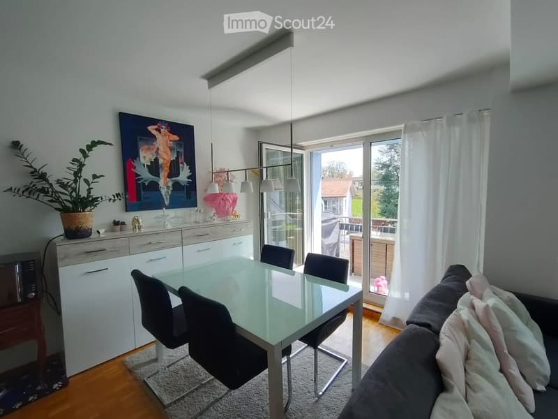 Bright, modern living and dining area with a glass dining table, black chairs, a grey sofa with pillows, a potted plant, a painting, and a white cabinet with drawers.
