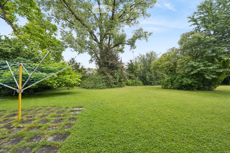 A well-maintained garden with a large, open grassy area, surrounded by tall trees and a clothesline in the background.