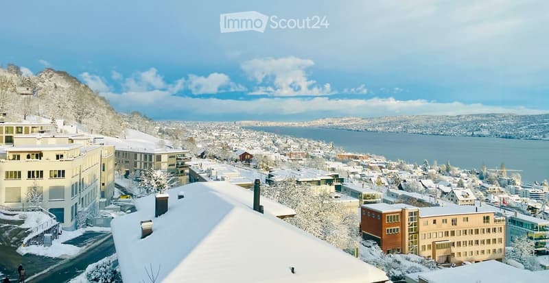 Building. A panoramic view of a town with snow-covered buildings and a lake in the background.