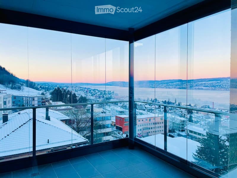 Balcony / Terrace. A modern balcony with expansive cityscape views, snow-covered rooftops, and distant water body.