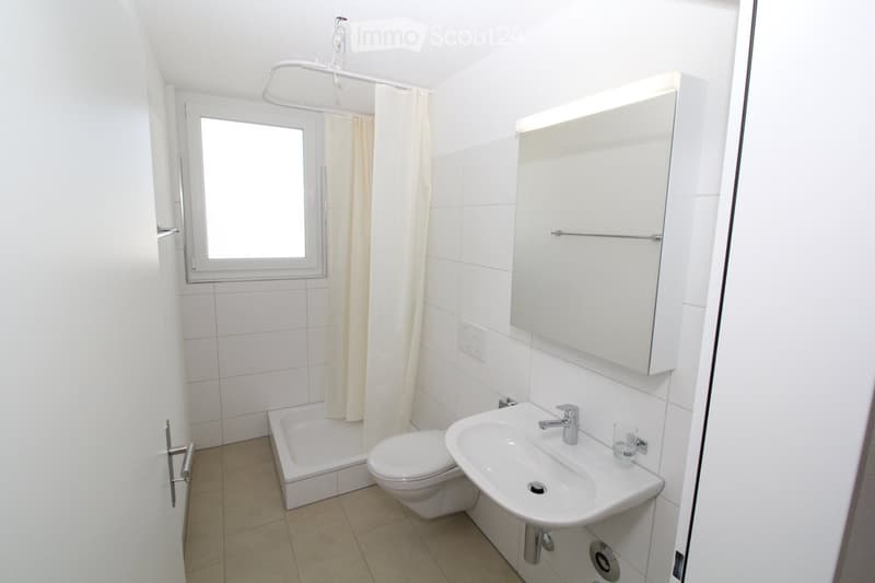 {"visible_features": [],    "type": "Room",    "description": "modern bathroom with toilet, shower, and sink, white tiles, mirror",    "localized_descriptions":        {        "EN": "modern bathroom with toilet, shower, and sink, white tiles, mirror