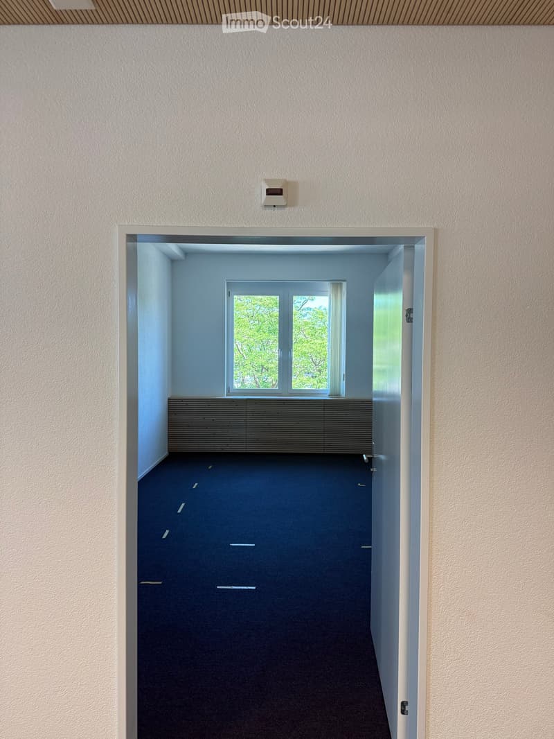 Empty hallway with light blue walls, dark carpeted floor, and a window at the end showing greenery outside.