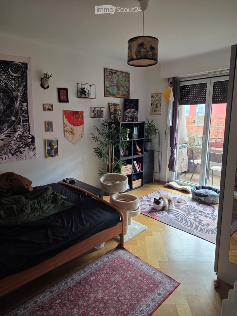 A cozy living space with a sofa, cat tree, bookshelf, and artwork on the walls. The room features wooden flooring, a large window with a view, and a cat lounging on a rug.