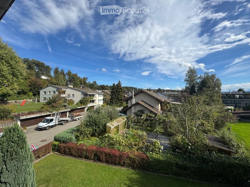 Aerial view of a suburban neighborhood with multiple houses, green lawns, trees, and a driveway with a parked van.