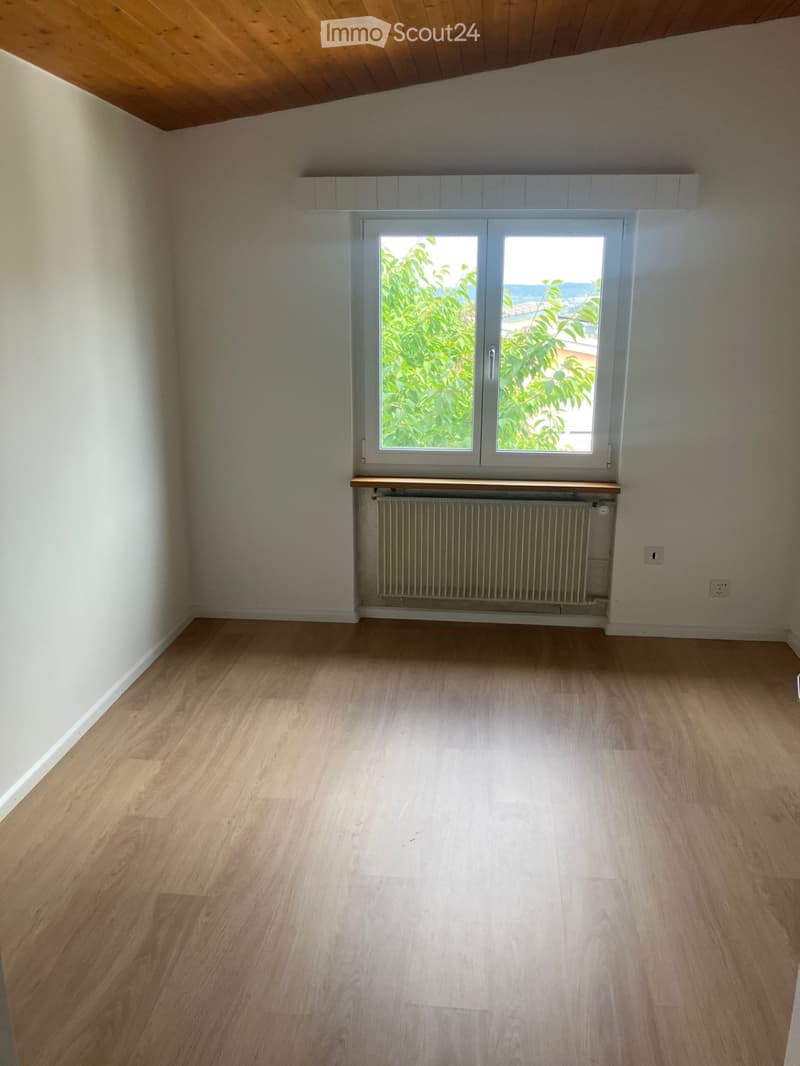 Empty room with wooden flooring, white walls, and a large window with a view of greenery. A radiator is placed below the window.
