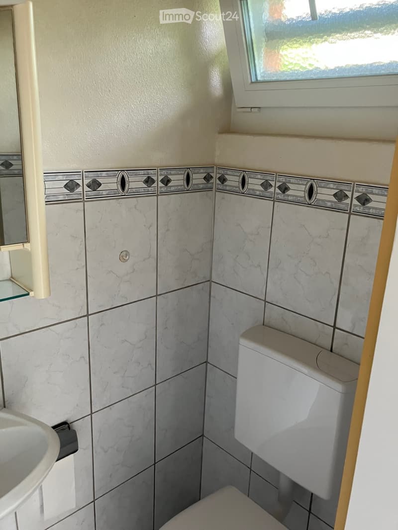 Bathroom with marble tiles, a toilet, a sink, and a mirror. The tiles feature a decorative border with diamond and oval patterns.