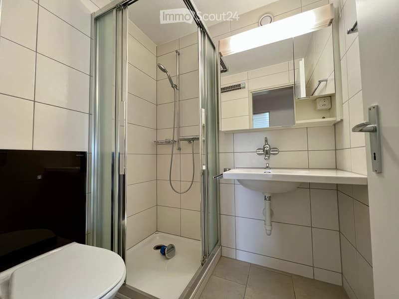 Modern bathroom with white tiles, a glass-enclosed shower, a toilet, a sink with a mirror, and a modern faucet.