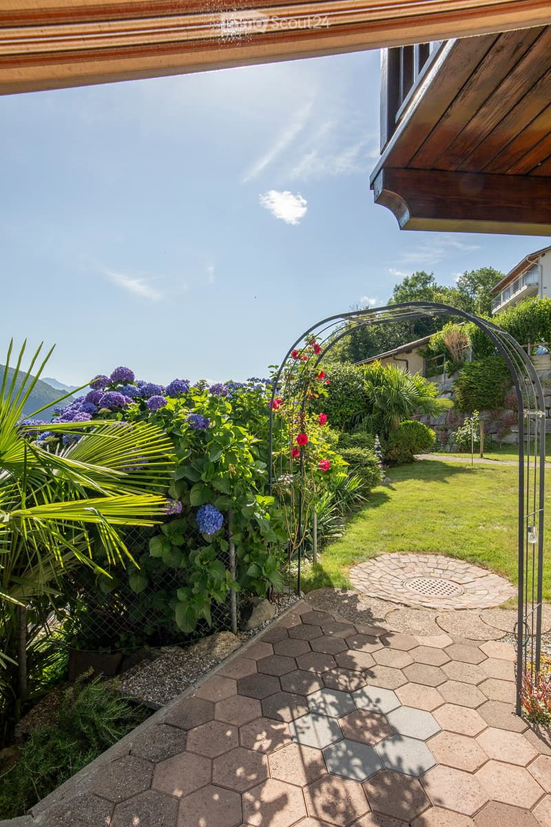 Garden with pathway, hedge, rose bushes, arch with flowers, trees, and plants