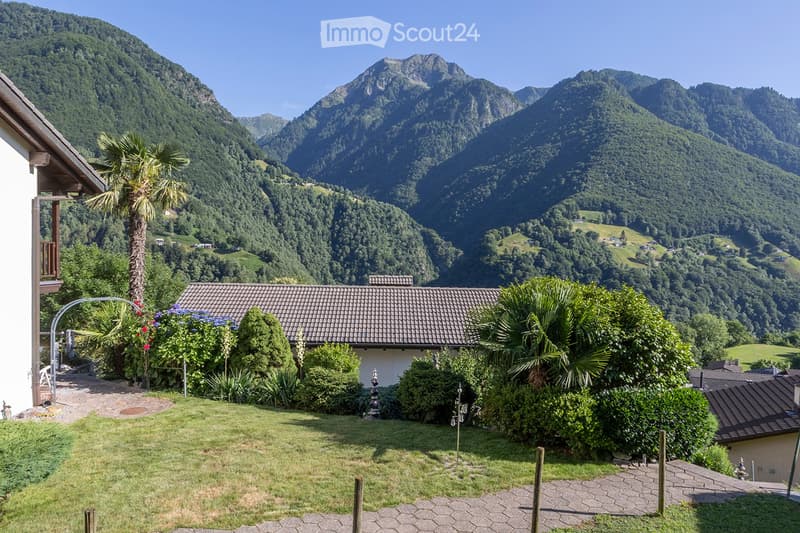 House with brown roof, front yard with grass and plants, garden with palm tree and flowers, surrounded by mountains