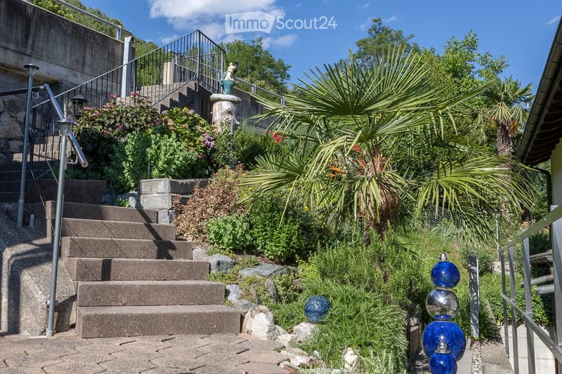 A garden with stairs going up and some plants and rocks