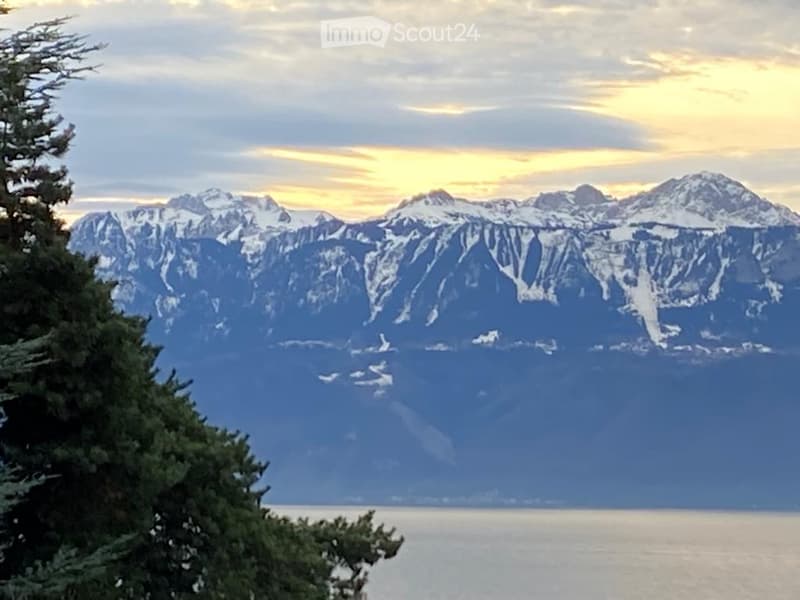 Garden / Outdoor Area. A scenic view of snow-capped mountains at sunset, with a calm body of water in the foreground and evergreen trees in the lower left corner.