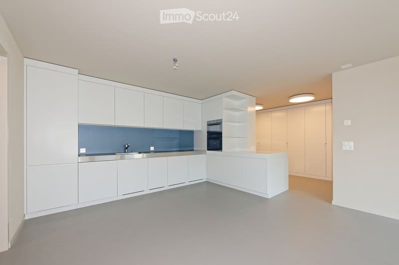 Modern kitchen with white cabinets, stainless steel sink, and built-in oven. Features a sleek design with a blue backsplash and ample storage space.