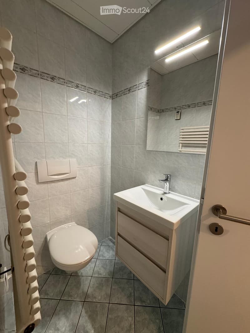 Modern bathroom with grey tiled walls, a white toilet, a sink with a chrome faucet, a mirror, and a radiator.