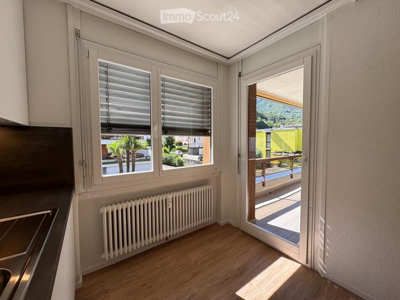 Bright room with wooden flooring, radiator, large windows with blinds, and a sliding door opening to a balcony with outdoor view.