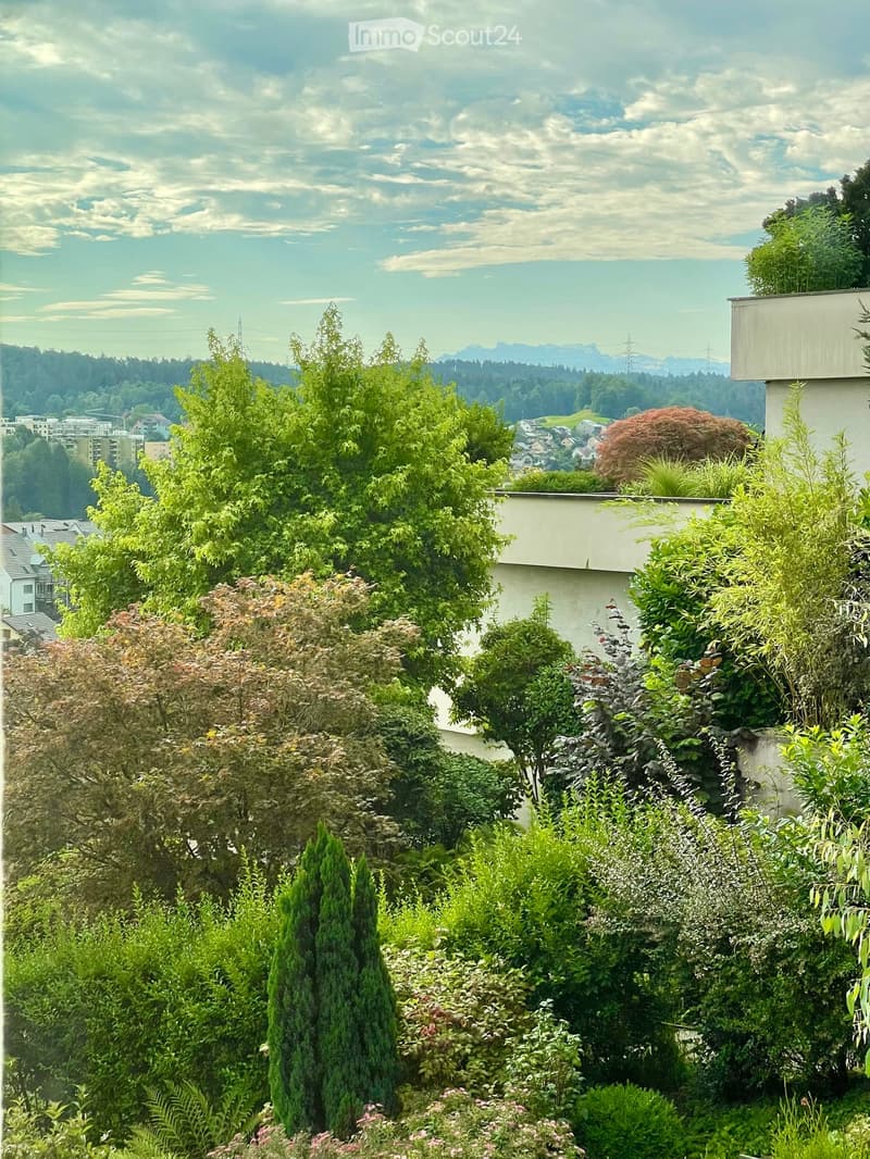 A garden featuring a variety of plants, shrubs, and trees with an aerial view.
