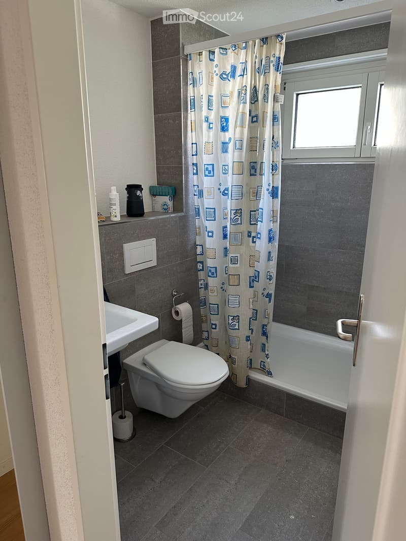 Modern bathroom with dark grey tiles, white fixtures, and a shower curtain with blue and beige patterns.