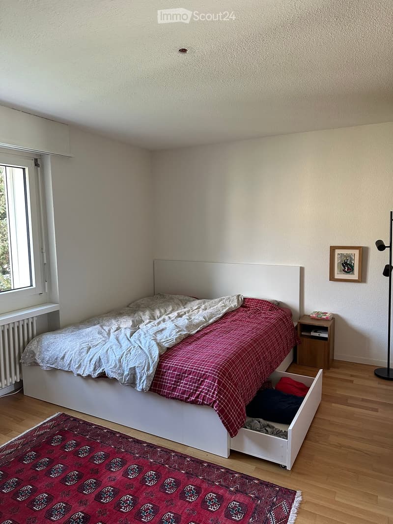 A cozy bedroom with a white bed, red checkered blanket, wooden nightstand, floor lamp, and a picture frame on the wall. The room features wooden flooring and a red patterned rug.