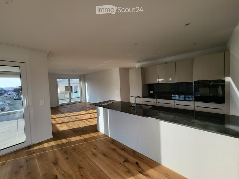 Modern kitchen with white cabinets, black countertops, wooden flooring, and large windows letting in natural light.